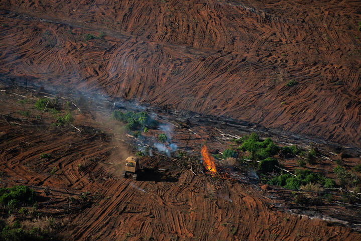 La déforestation s'accélère en Amazonie, et l'agrobusiness est pointé du doigt