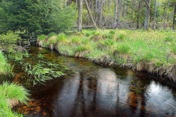 Pesticides : de nouvelles victoires pour protéger les cours d'eau