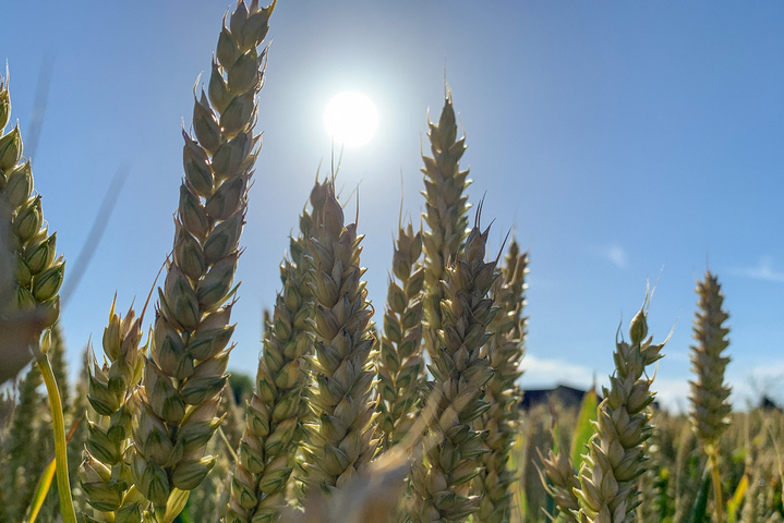 Le ministre de l'Agriculture fait une <span class="caps">PAC</span> pour les gros et pas pour le bio