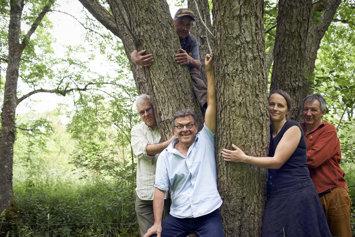 Une alternative forestière à la mégascierie des Pyrénées