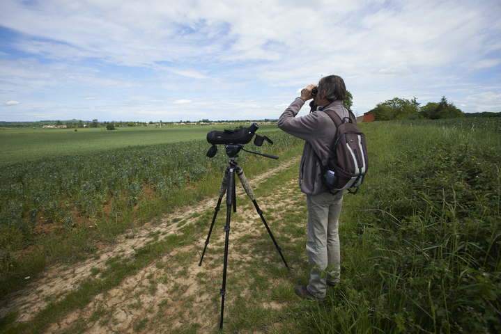 La région Occitanie soutient un entrepôt géant plutôt que la biodiversité