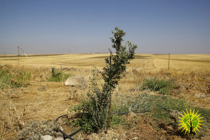 Après avoir combattu Daech, le Rojava a besoin de notre solidarité