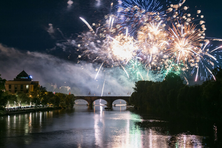 Les feux d'artifice du 14 juillet, un spectacle éprouvant pour les oiseaux