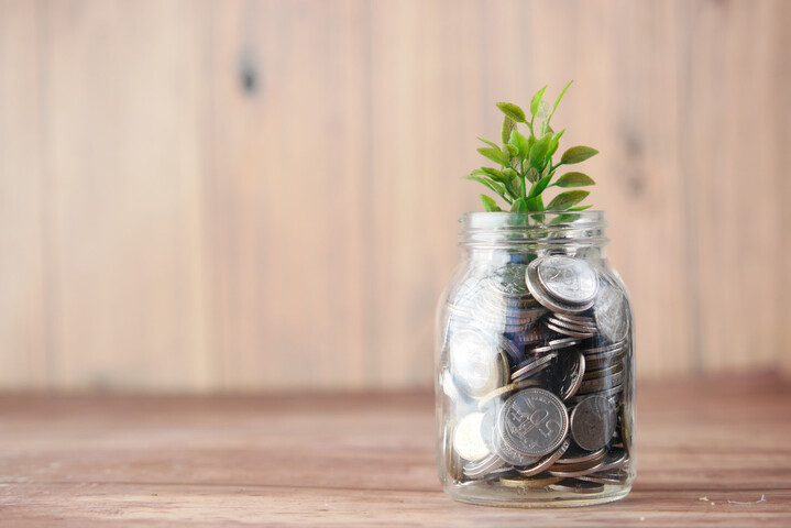 Les promesses trompeuses de la finance verte