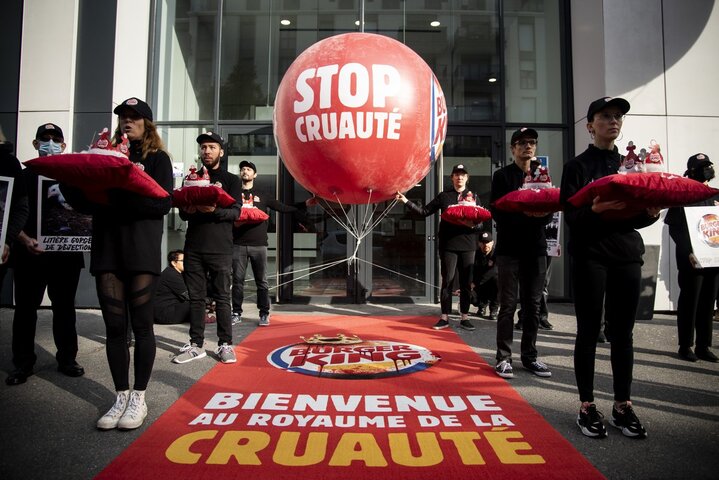 Souffrance des poulets : L214 s'en prend à Burger King