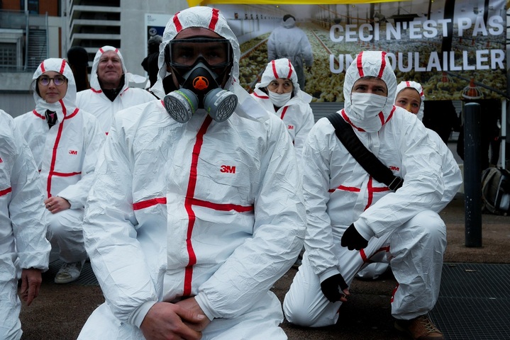 À Toulouse, les éleveurs plein air manifestent pour leur survie
