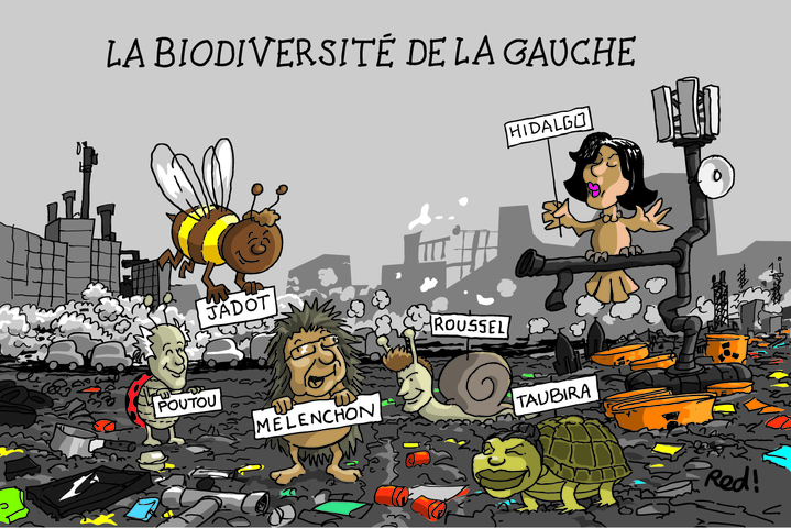 Drôles de petites bêtes