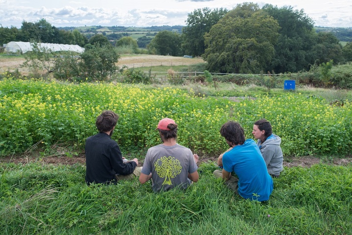 Dans le Béarn, la nouvelle vie décroissante d'un jeune cadre parisien