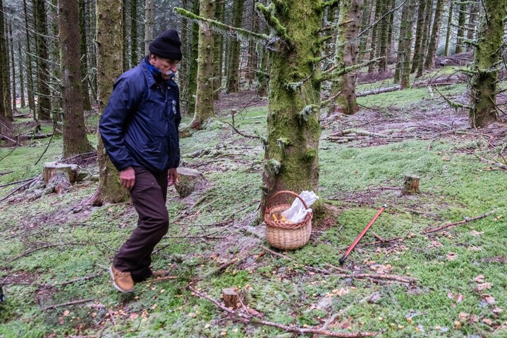 Dans le Limousin, des bûcherons turcs et marocains racontent une vie de labeur