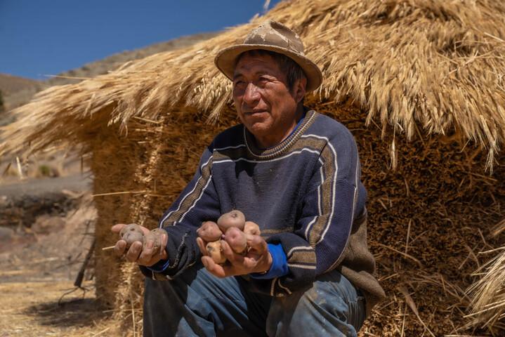 Trouver la patate du futur, le dernier espoir des paysans boliviens