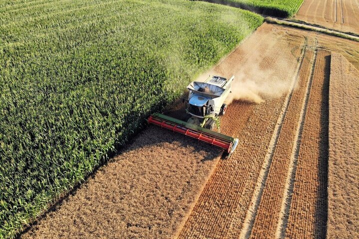 «<small class="fine d-inline"> </small>Le productivisme est omniprésent dans l'histoire agricole française<small class="fine d-inline"> </small>»