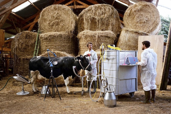Et si demain, l'agriculture ressemblait à ça<small class="fine d-inline"> </small>? Imaginez le pire avec Dystopia