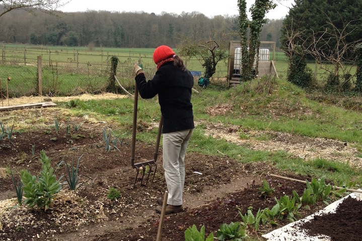 A bon compost, bon jardin