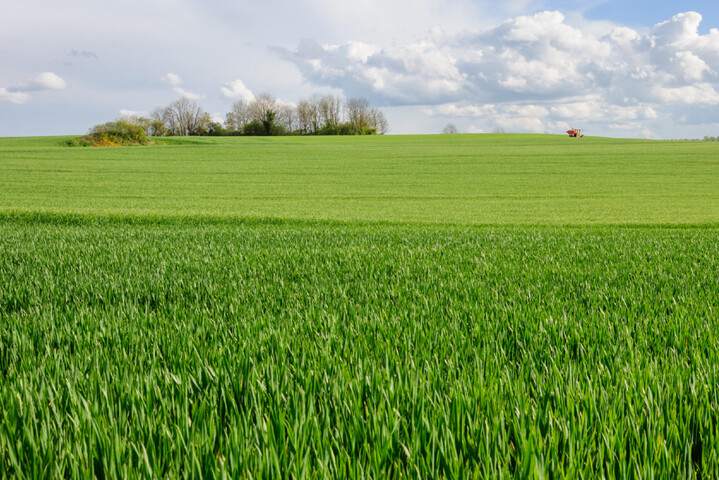 Le gouvernement refuse de stopper les financements néfastes à la biodiversité