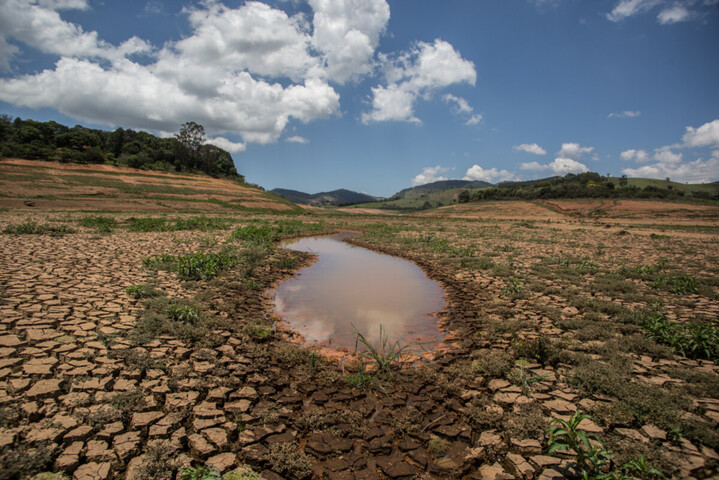 La forêt amazonienne pourrait perdre deux tiers de sa surface dès 1,5 °C de réchauffement