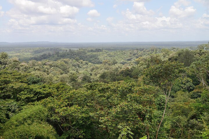 Montagne d'or en Guyane : la justice confirme la non-prolongation du projet minier
