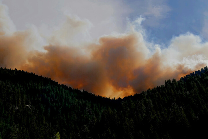 Neutralité carbone : une forêt ne compense pas un puits de pétrole