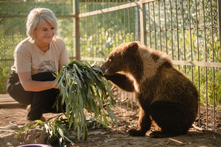 «<small class="fine d-inline"> </small>Les ours paniquaient<small class="fine d-inline"> </small>» : ces Ukrainiens qui sauvent des animaux de la guerre