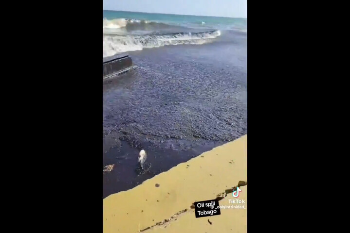 Marée noire dans les Caraïbes : Trinité-et-Tobago en état d'urgence