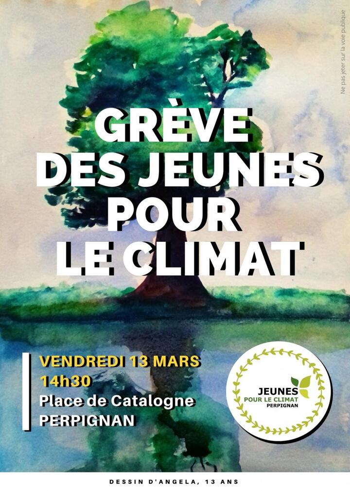 Grève des jeunes pour le climat, à Perpignan