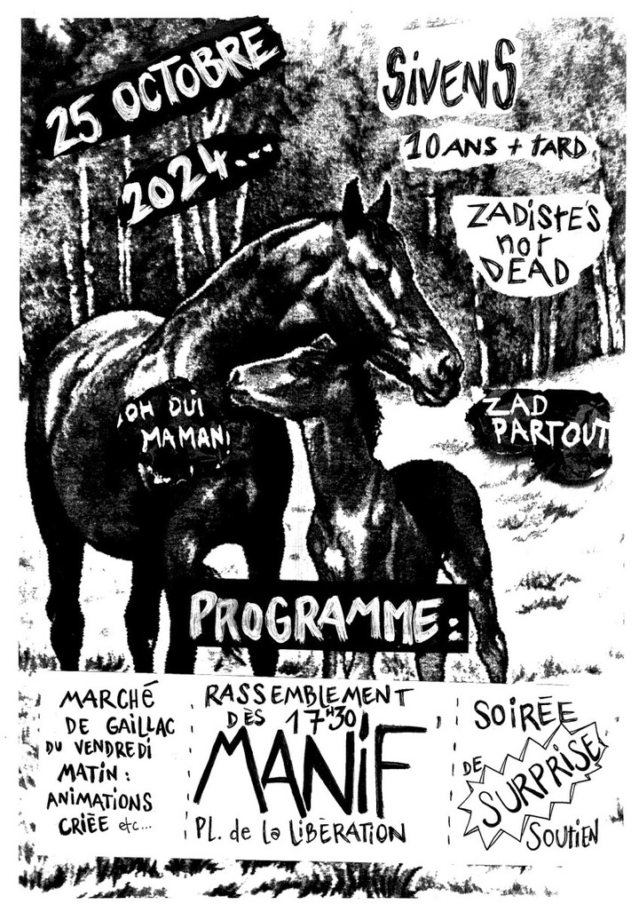 Sivens 10 ans + tard… zadistes not dead, à Gaillac (Tarn)