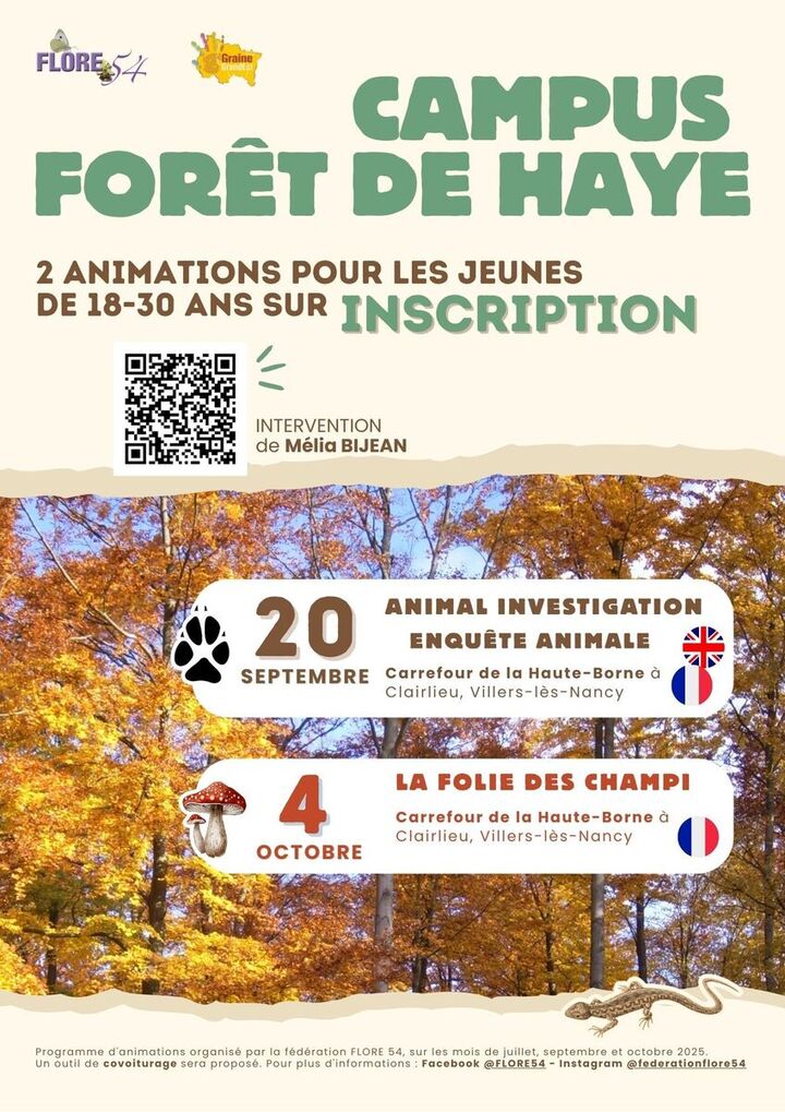 «<small class="fine d-inline"> </small>La folie des champi : animation en forêt pour les 18-30 ans<small class="fine d-inline"> </small>», à Villers-lès-Nancy (Meurthe-et-Moselle)