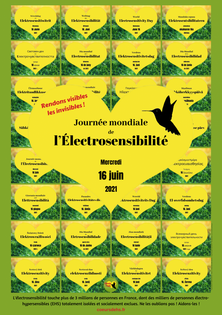 Journée mondiale de l'électrosensibilité