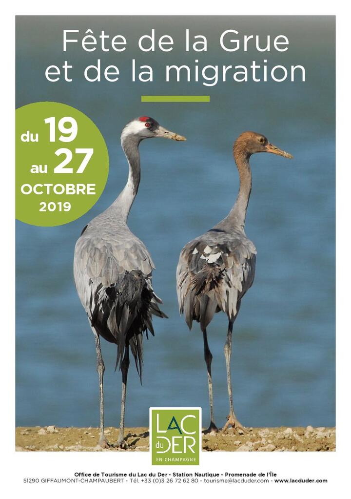 Fête de la grue et de la migration, au lac du Der-Chantecoq (Marne/Haute-Marne) 