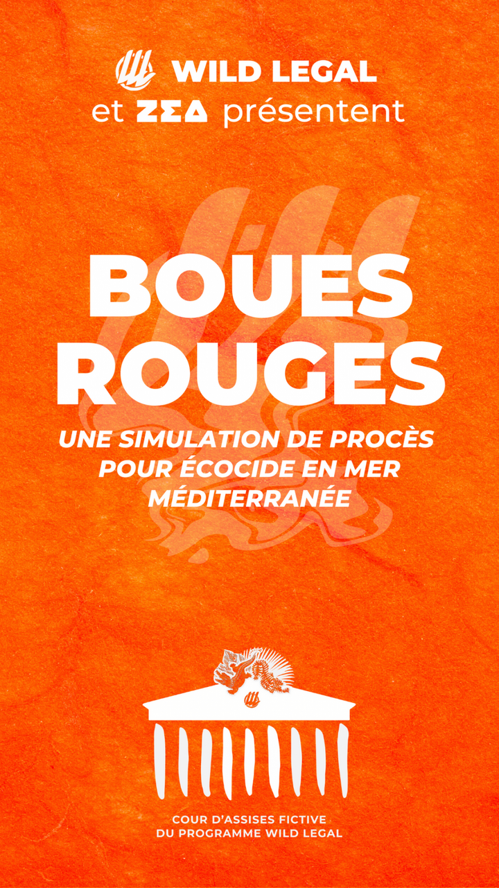 Boues rouges, une simulation de procès pour écocide en mer, à Pantin (Seine-Saint-Denis)