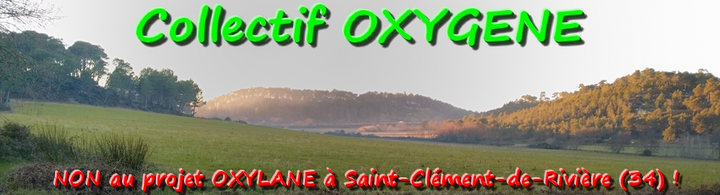 Marche contre le projet Oxylane Decathlon à Saint Clément la Rivière (Hérault)