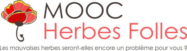 Un cours en ligne pour tout savoir sur les herbes folles