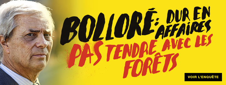 Le groupe Bolloré est accusé par Greenpeace d'être facteur de déforestation
