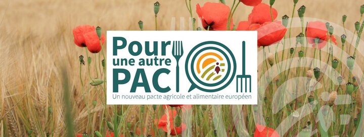 Rassemblement pour une autre politique agricole commune, à Strasbourg (Bas-Rhin)