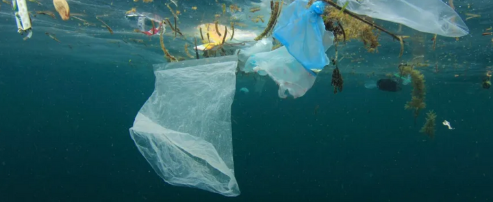 Une île de plastique dérive au large de la Corse