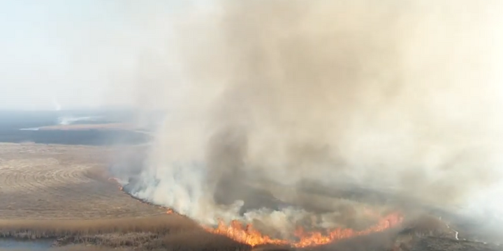  Des incendies de forêt ravagent le plus grand parc national de Pologne