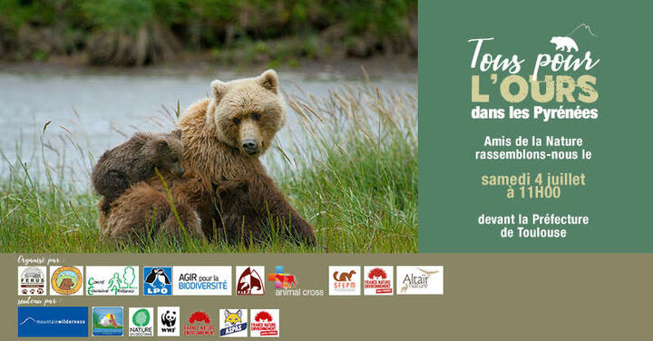 Tous pour l'Ours dans les Pyrénées, à Toulouse (Haute-Garonne)