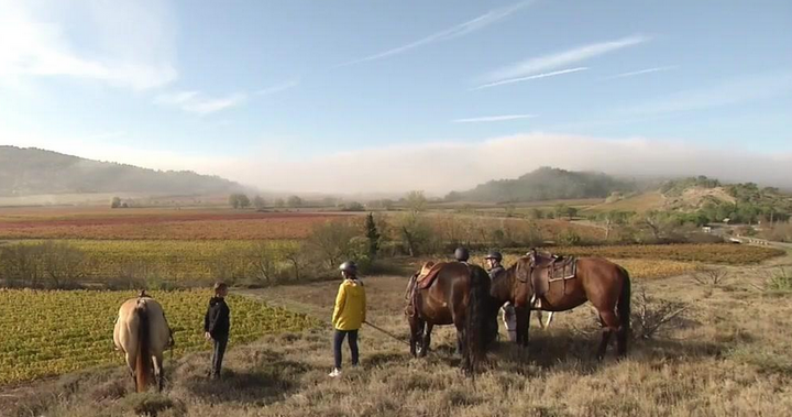 Reporterre sur France Inter : le bassin méditerranéen en proie à la sécheresse