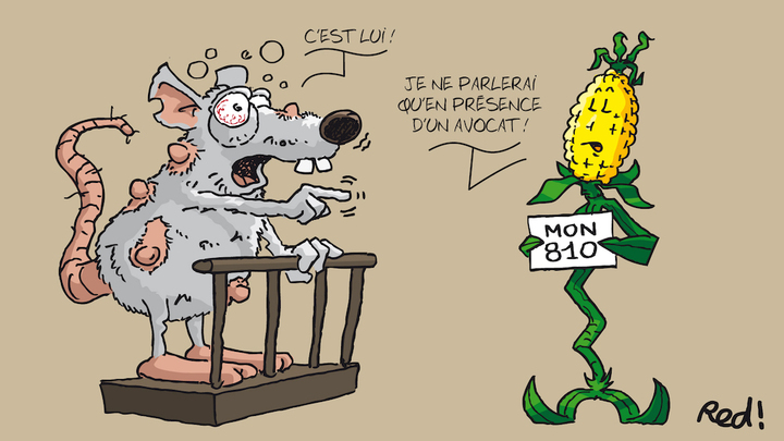 La firme Monsanto va faire face à la justice des peuples
