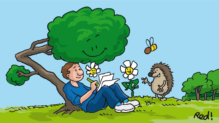 Le courrier des lecteurs arrive sur Reporterre<small class="fine d-inline"> </small>!