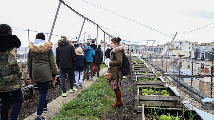 Quand des collégiens découvrent un potager sur un toit de Paris