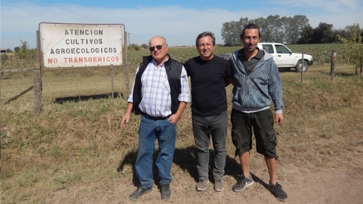 À <span class="caps">LA</span> TÉLÉ- Se passer du glyphosate<small class="fine d-inline"> </small>? L'exemple argentin