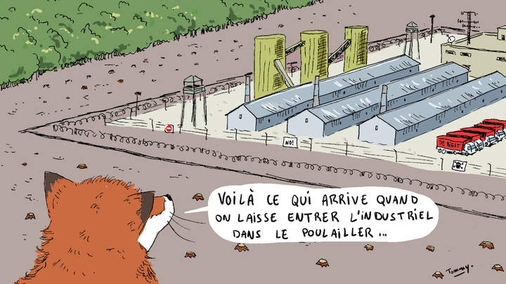 Dans le Nord, des habitants vent debout contre un poulailler géant