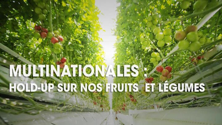  À <span class="caps">LA</span> TÉLÉ - Le business mondialisé des fruits et légumes