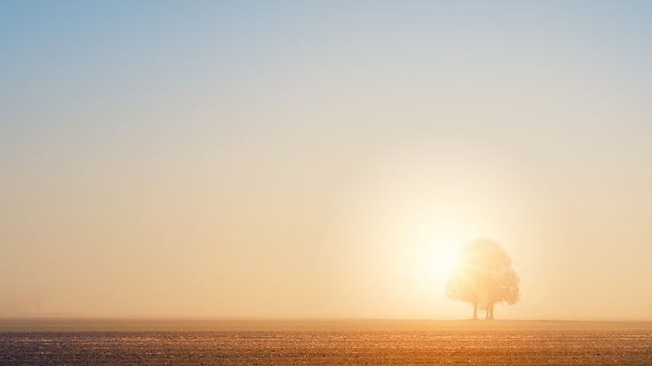 De multiples records de chaleur enregistrés par Météo-France