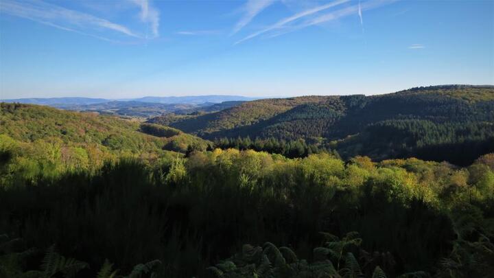 Conférence «<small class="fine d-inline"> </small>Ces arbres qui cachent la forêt<small class="fine d-inline"> </small>», à Dijon