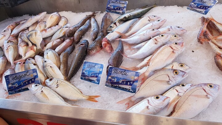 Pour soutenir la pêche locale, vive la vente directe