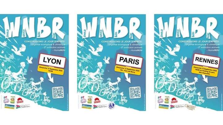 World Naked Bike Ride 2020, à Paris, Lyon et Rennes (Ille-et-Vilaine)