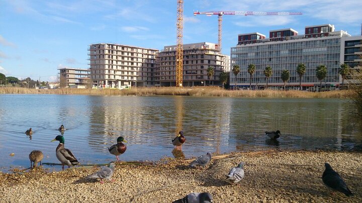 Les éco-quartiers ne sont pas vraiment écologiques