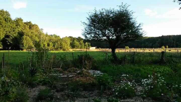 Le jardin sans pétrole - L'ortie, un trésor pour le compost 