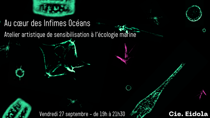 Au cœur des Infimes Océans : atelier artistique de sensibilisation à l'écologie marine, à Paris